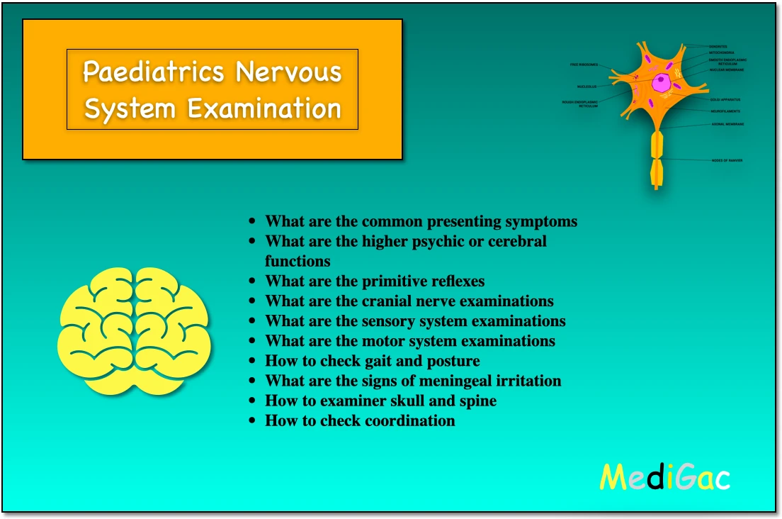 Paediatrics nervous system examination
